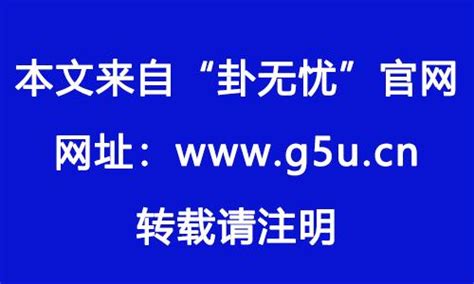 82 生肖|1982年属什么生肖的命 1982年属狗是什么命